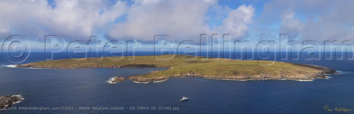 Peter Bellingham Photography North Neptune Islands - SA (PBH3 00 25748).jpg